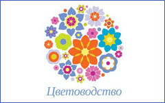 Цветоводство - Продажа цветов, цветы на срез