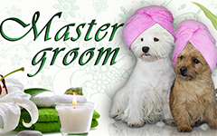 Мастер Грум / Master Groom - Салон красоты для животных