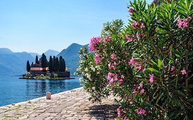 Отдых в Черногории и экскурсии по Швейцарии от 9,3 млн. рублей.