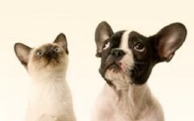 Скидки для зарегистрированных пользователей!