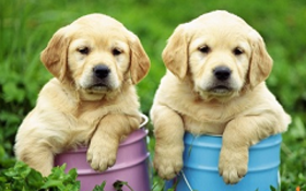 Каждому новому покупателю мы дарим приятные и полезные подарки!