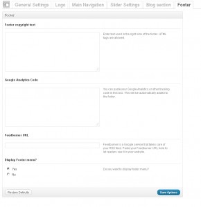 theme_options_footer