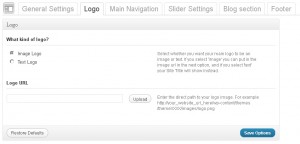 theme_options_logo