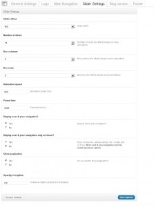 theme_options_slider