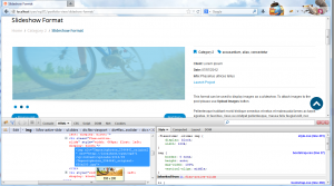 WordPress_How_to_change_Slideshow_post_gallerydimensions-5