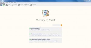 wordpress_cherry_based_theme_localization_adding_4