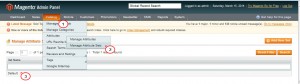 magento_new_and_sale_attributes_adding_6