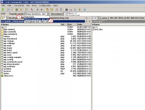 How_to_set_Binary_transfer_mode_in_FileZilla_TotalCommander_CuteFTP_1