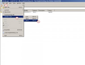 How_to_set_Binary_transfer_mode_in_FileZilla_TotalCommander_CuteFTP_3