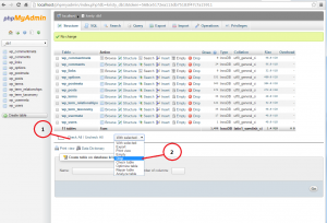 screen1_dropdatabasetables