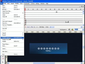 make-flash-load-faster-3