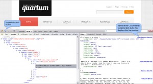 full-site-change-text-style-1