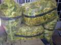 Frutos