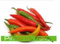 Pimenta chile