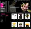 Software for web pages development