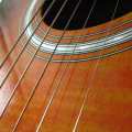 Snaren voor muziekinstrumenten
