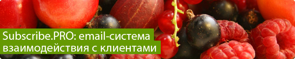 Subscribe.PRO: email-система взаимодействия с клиентами