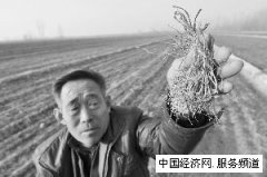 中国将进入高价农业时