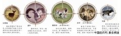 外国人来华狩猎中断5