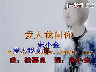 爱人我问你宋小金2012 好听音乐mtv