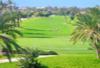 8J/7N - DP - GREEN PALM 4* +1 GF 9T DGC