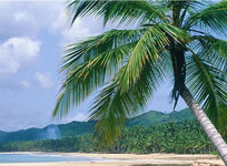 Séjour Republique Dominicaine