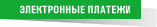 ЭЛЕКТРОННЫЕ ПЛАТЕЖИ