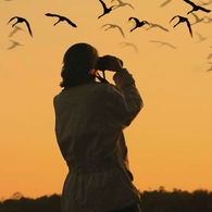 Птичьи туры: в Беларусь приходит новое увлечение?