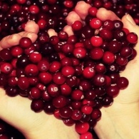 8 тематических фестивалей Беларуси с претензией на уникальность