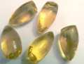 Glicerina