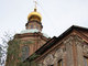 Моя Тула