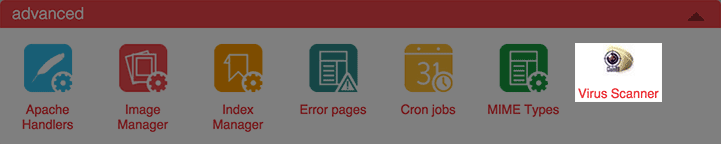 The virus scanner icon.
