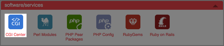 The Software/Services group of icons with CGI Center.