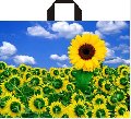 Logo ile polietilen paketleri