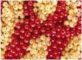Marmellata di ribes