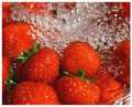 Fragola congelata