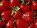 Fragola secca