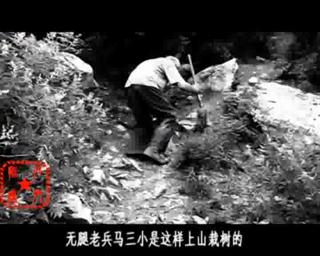 河北无腿老兵10年爬行植树3000棵 意志如钢自称是“军魂”