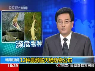 12种最濒临灭绝动物公布