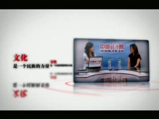 金元浦谈我国文化体制改革