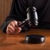 Собственником земельного участка в столице можно стать за 218 млн рублей