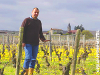 Jean-Pierre Michel, vigneron à Clessé, France