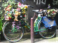 Vélo à Amsterdam, Hollande