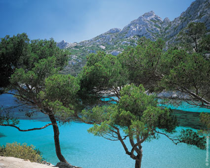 Randonnée en famille dans les calanques de Marseille