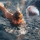 5 Pics Of Dolphins Saving Man?