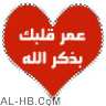صورة رمزية ahmedsoft