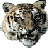 صورة رمزية tiger_top