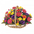 Basket of Happiness