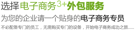选择电子商务外包服务,为您的企业请一个贴身的电子商务专员