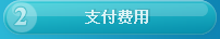支付费用